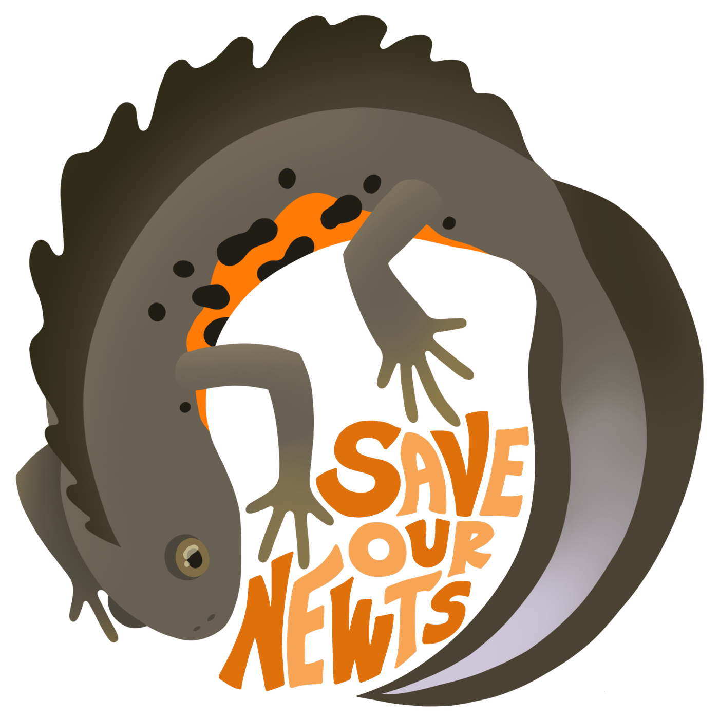 New campaign launch – Save Our Newts
