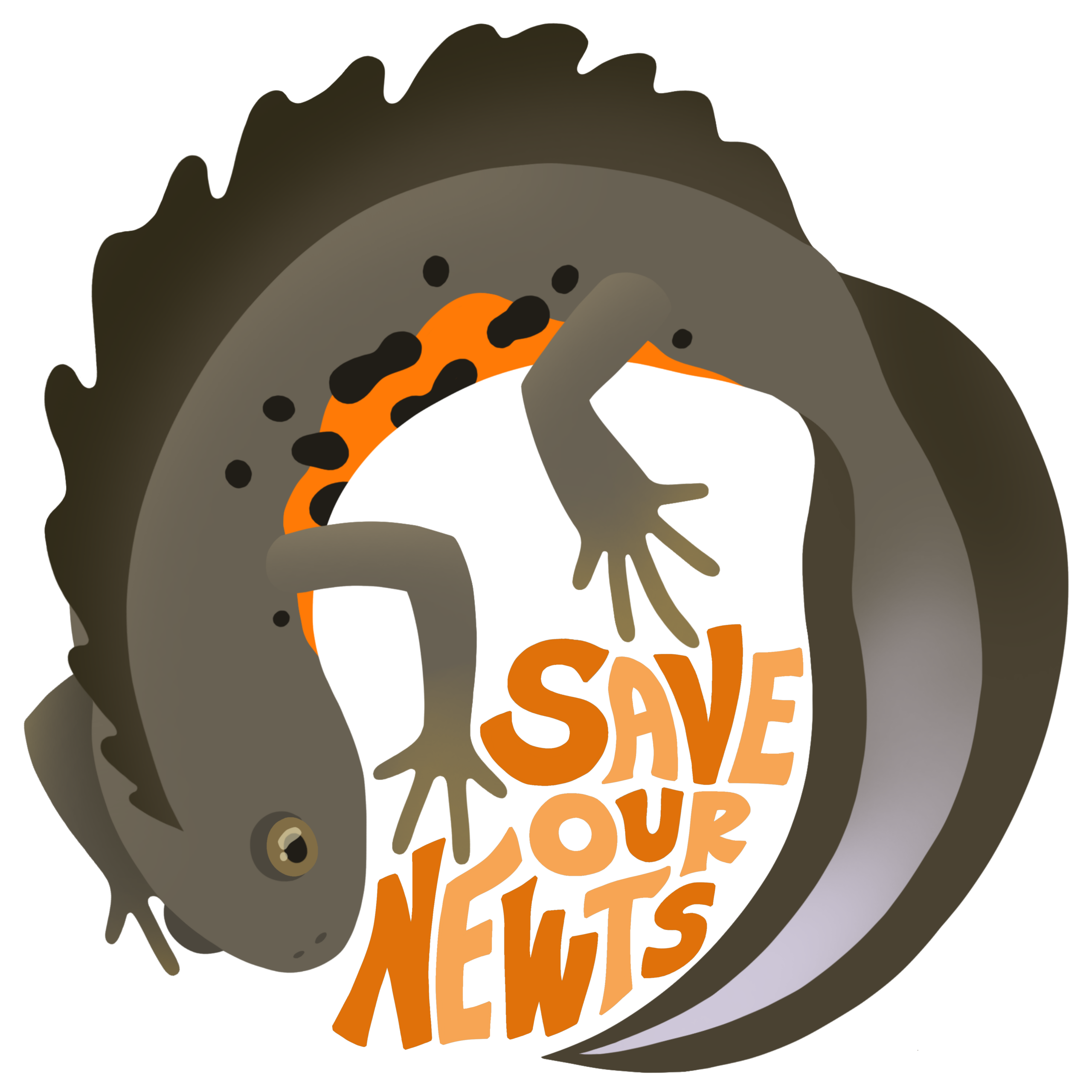 New campaign launch – Save Our Newts